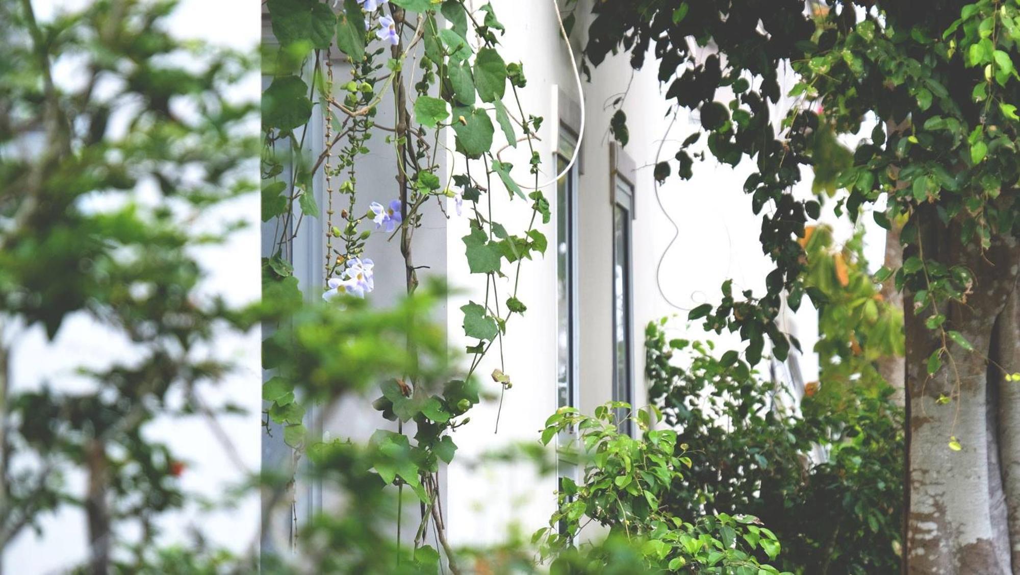 Vila Basi Nguyet Hang Εξωτερικό φωτογραφία